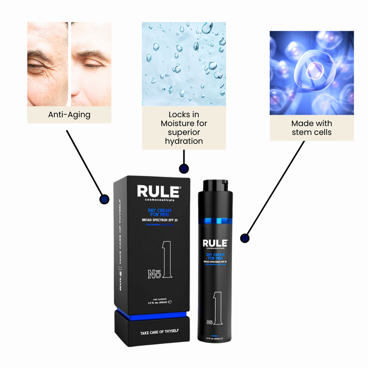 No.1 All-in-One Face Day Cream